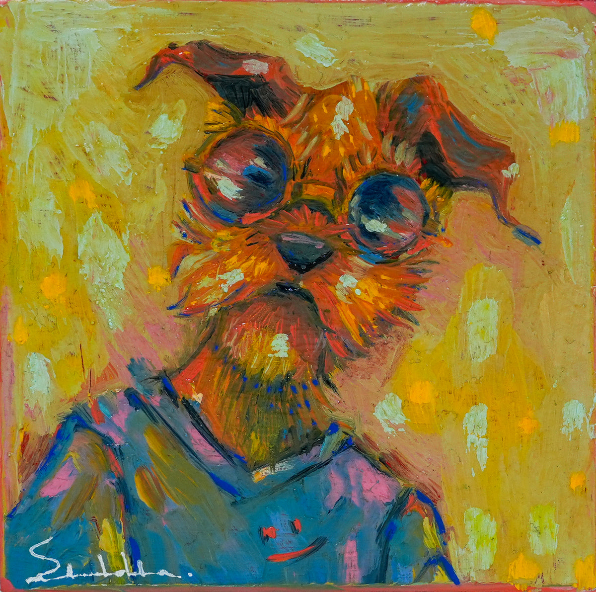 Schnauzer Gazer