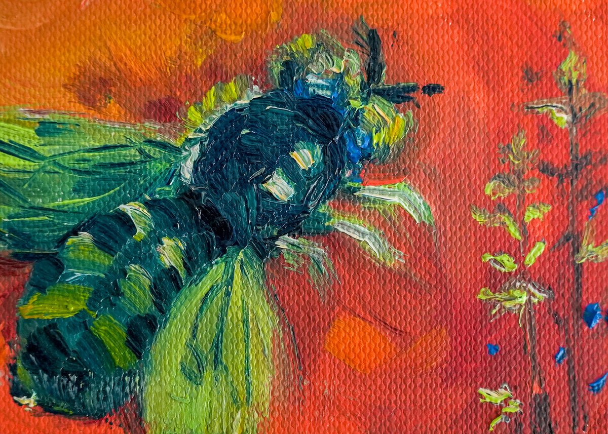 Wild Bee